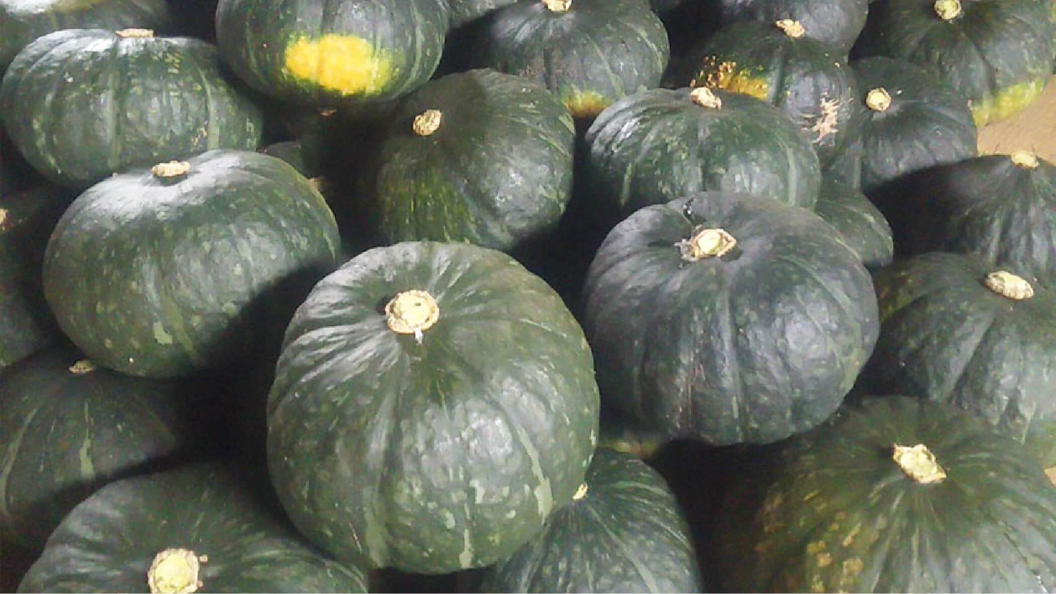 株式会社Souplesse（かねこ農園）